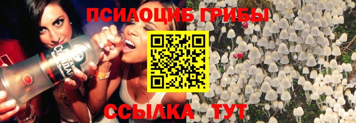 Псилоцибиновые грибы мухоморы Анжеро-Судженск