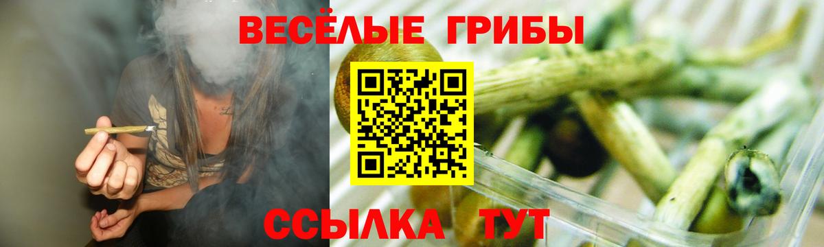 Псилоцибиновые грибы Cubensis  Вход с VPN  наркошоп  Анжеро-Судженск  Галлюциногенные грибы мухоморы 